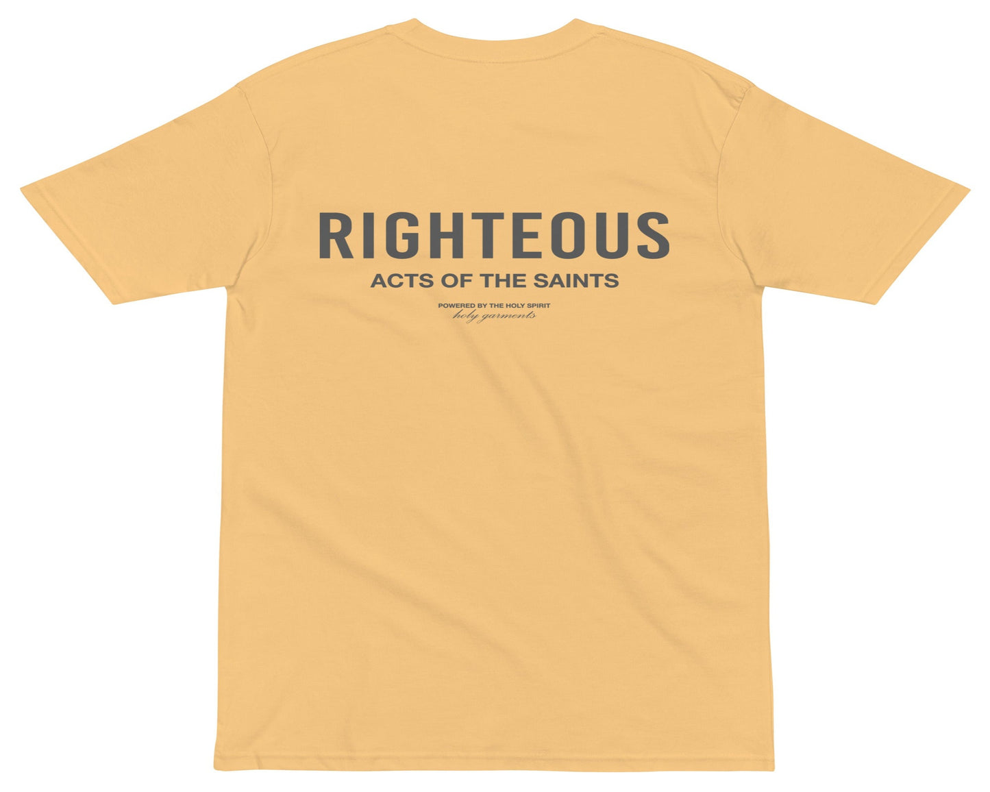 Righteous T-Shirt - Lights