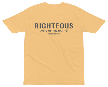 Righteous T-Shirt - Lights