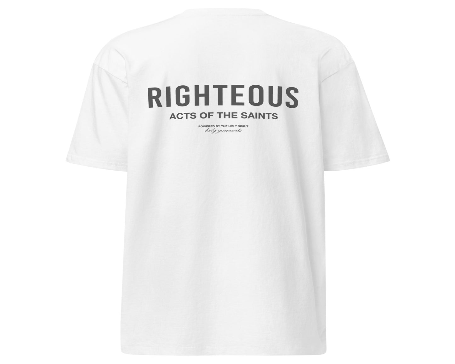 Righteous T-Shirt - Lights