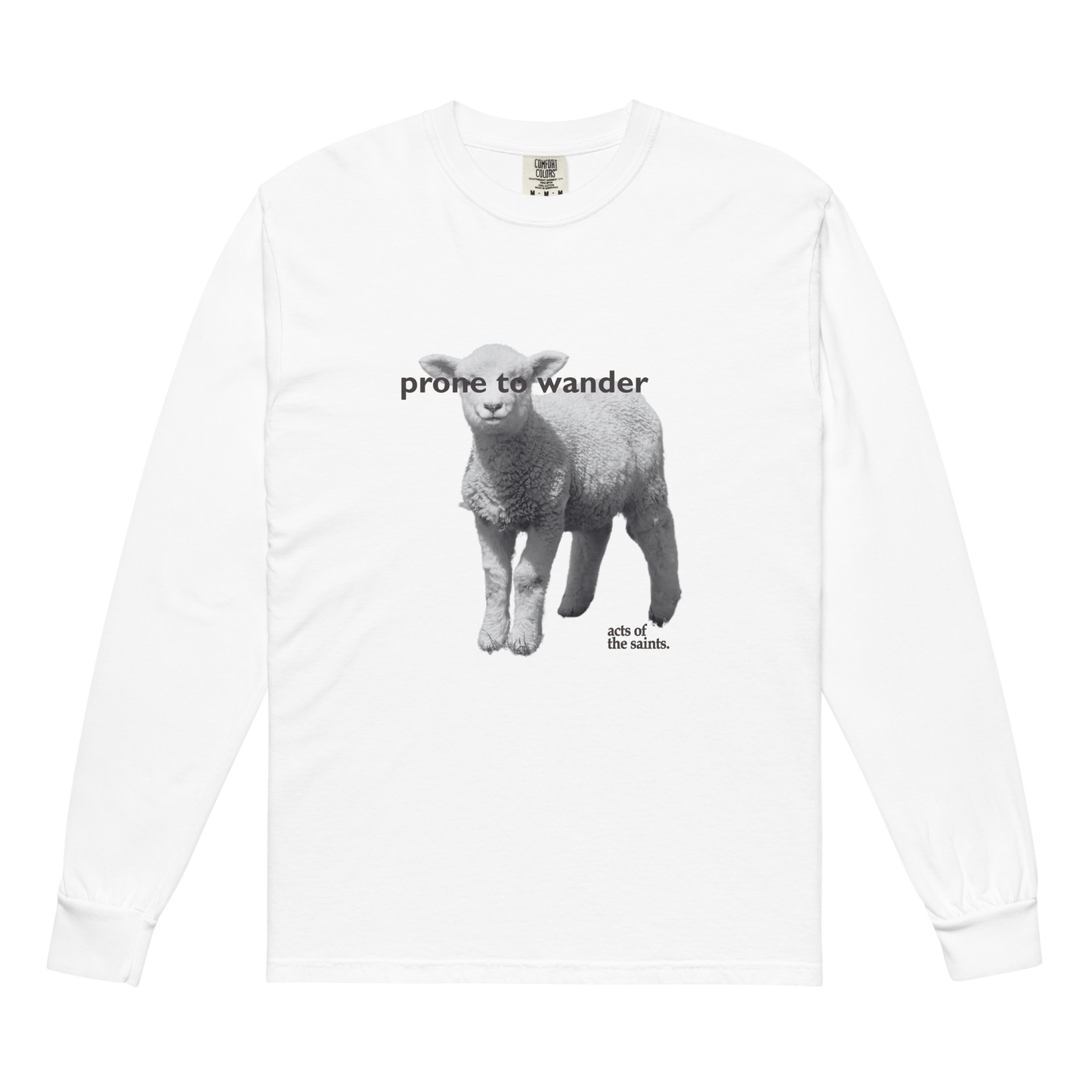 Prone to Wander Long Sleeve Tee - White