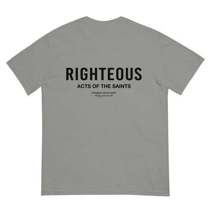 Righteous T-Shirt - Gray