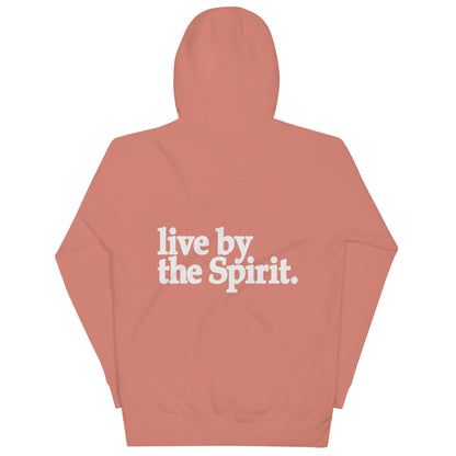 DGU Live by the Spirit Hoodie