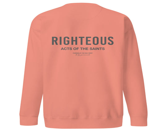 Righteous Crewneck - Lights